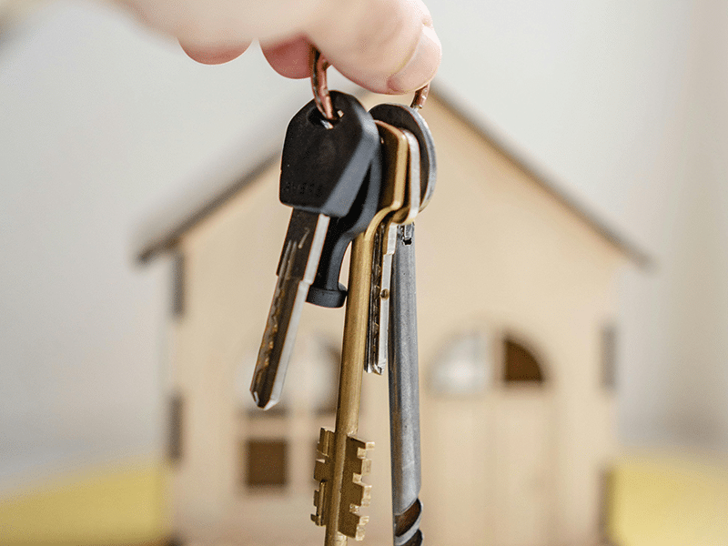 Bachelor Responsable en Gestion et Négociation Immobilières