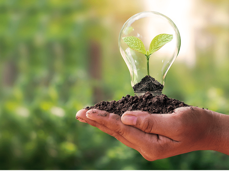 Licence Générale Énergie et Développement Durable