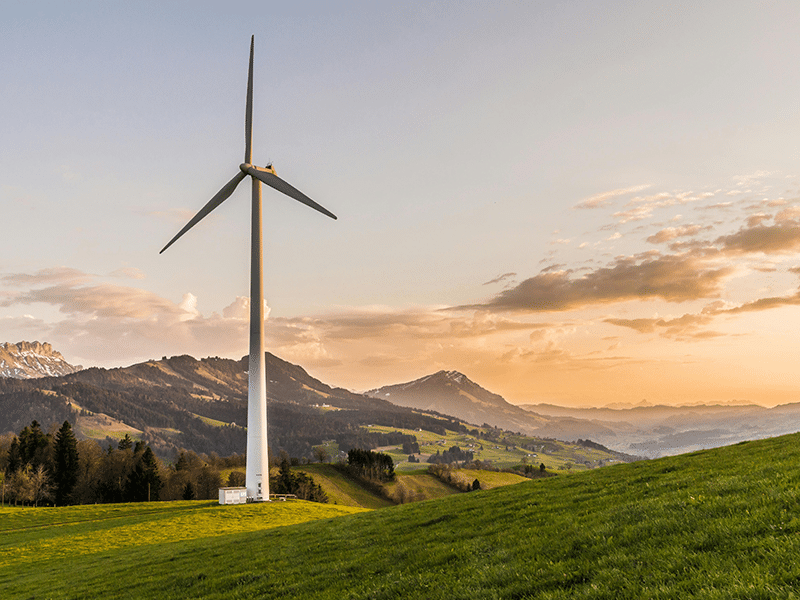 Licence Professionnelle Commercialisation et Management des Énergies Renouvelables